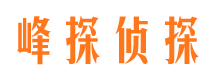 海原市婚姻调查